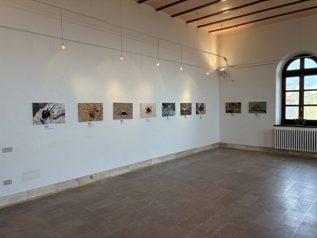 preparare i file per una mostra fotografica